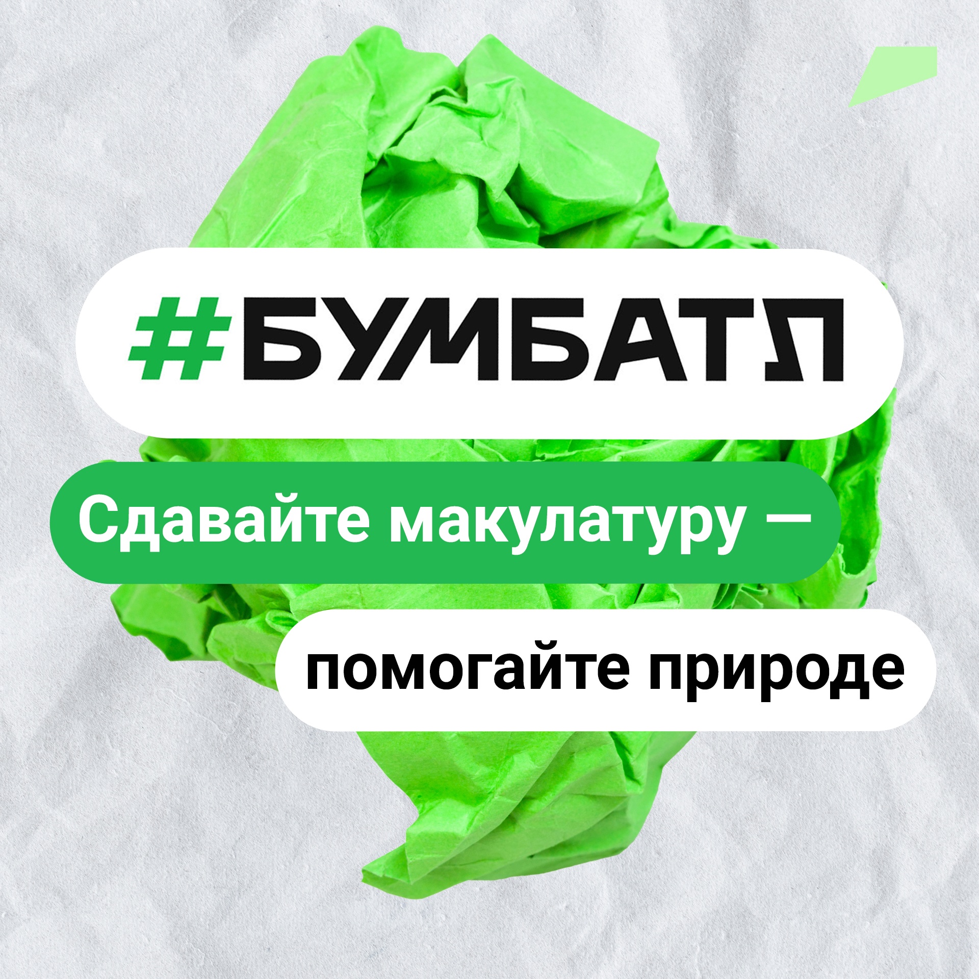 К Всемирному дню без бумаги в Белгородской области собрали в рамках акции «БумБатл» 5,6 тонны макулатуры.