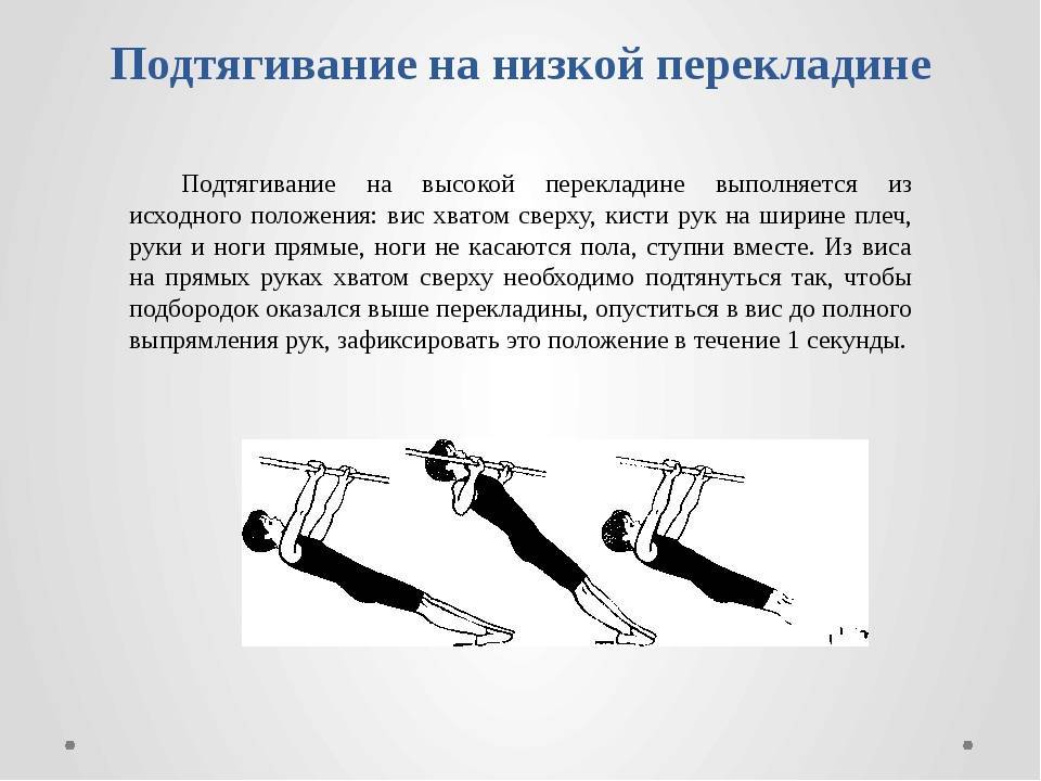 Порядок организации тестирования качества силы.