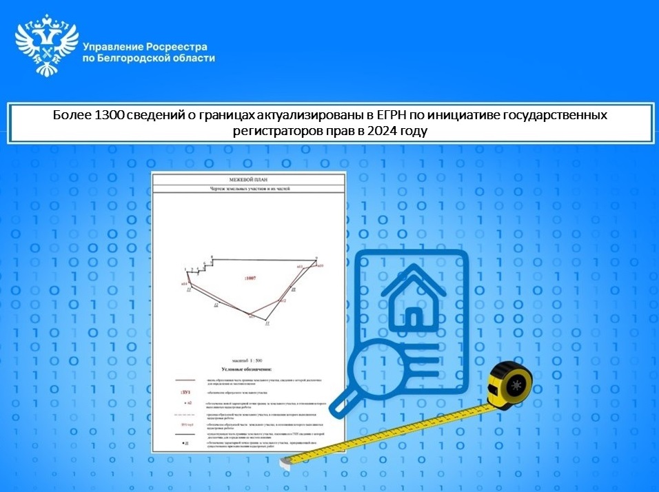 Более 1300 сведений о границах актуализированы в ЕГРН по инициативе государственных регистраторов прав в 2024 году.