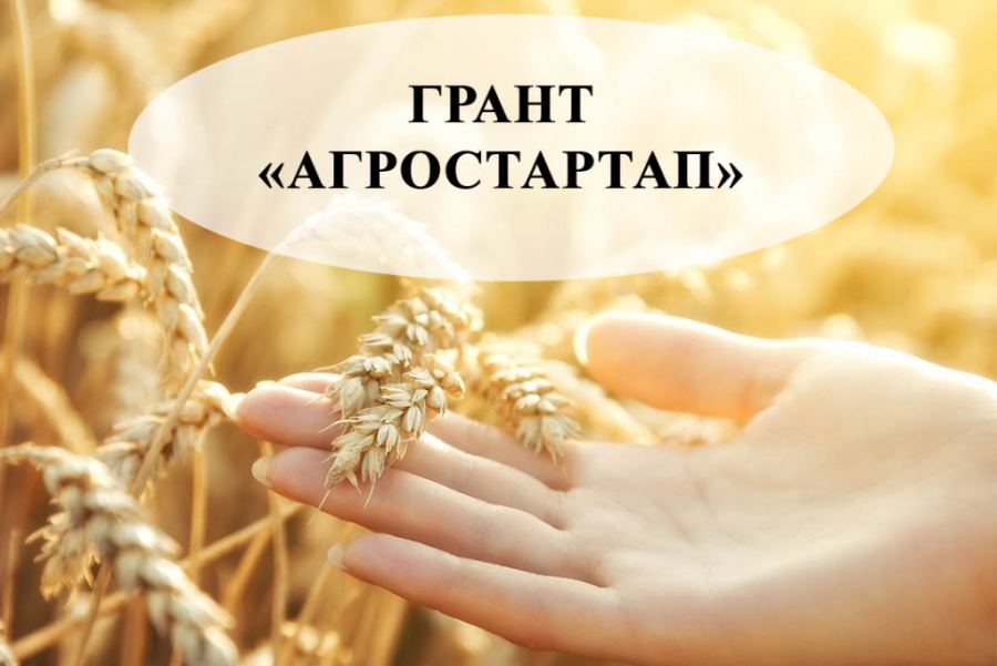 Объявление о проведении конкурса «Агростартап».