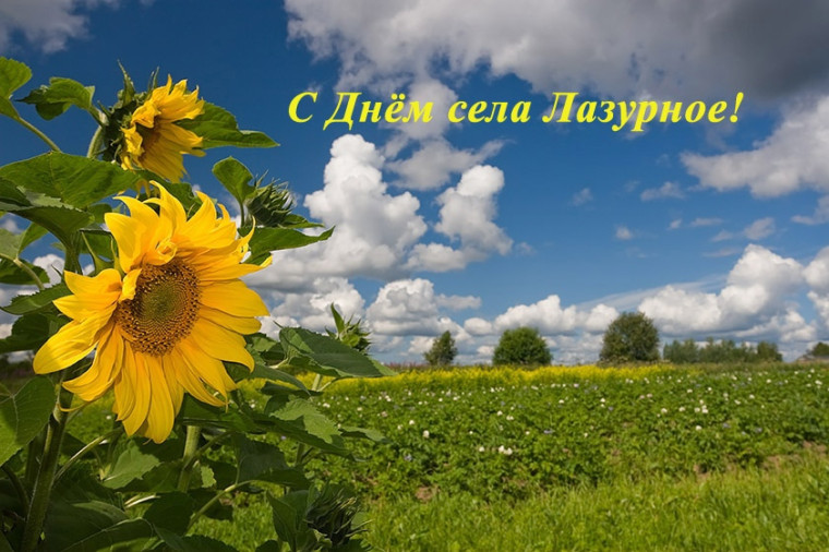 Уважаемые жители села Лазурное!. Уважаемые жители села Лазурное!.