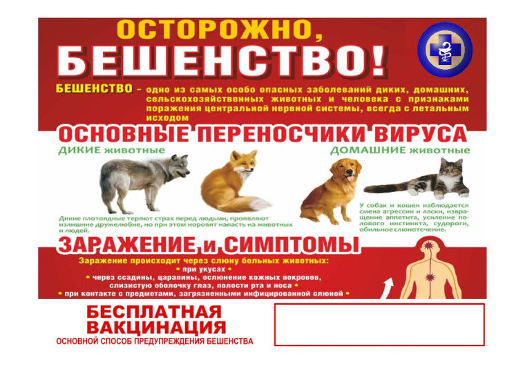 Наличие животных без владельцев на улицах является актуальной проблемой на сегодняшний день. Наличие животных без владельцев на улицах является актуальной проблемой на сегодняшний день.