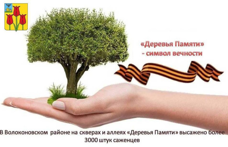 «Деревья Памяти» - символ вечности. «Деревья Памяти» - символ вечности.