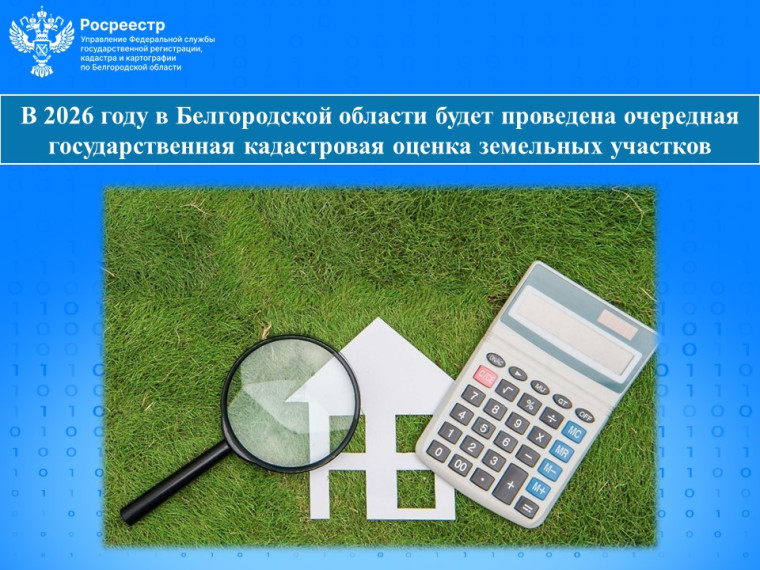 В 2026 году в Белгородской области будет проведена очередная государственная кадастровая оценка земельных участков. В 2026 году в Белгородской области будет проведена очередная государственная кадастровая оценка земельных участков.