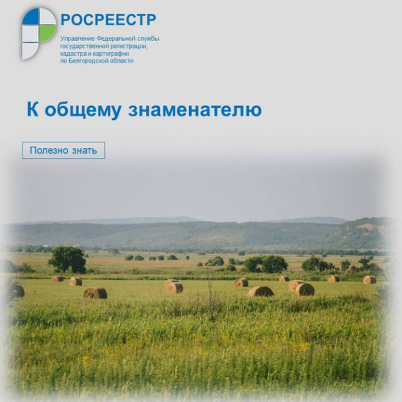 К общему знаменателю. К общему знаменателю.