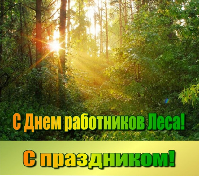 Уважаемые работники и ветераны лесного хозяйства!. Уважаемые работники и ветераны лесного хозяйства!.
