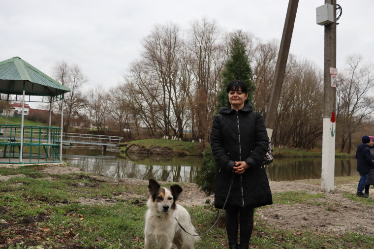 В поселке Волоконовка открыли площадку для выгула и дрессировки собак.